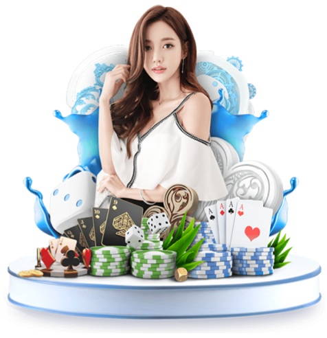 Hình ảnh một trận đá gà Thomo sắp diễn ra